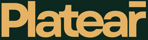 Platear –  Premium Jewelry, Home Interiors, Bespoke Retail Environments, Recording Studios.